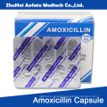 Amoxicillin Capsule Carton